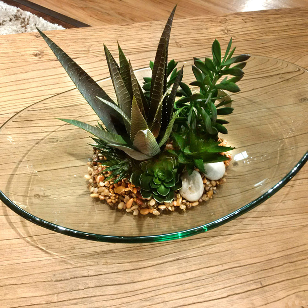 Plant arrangement on glass plate with Mixed River Stones