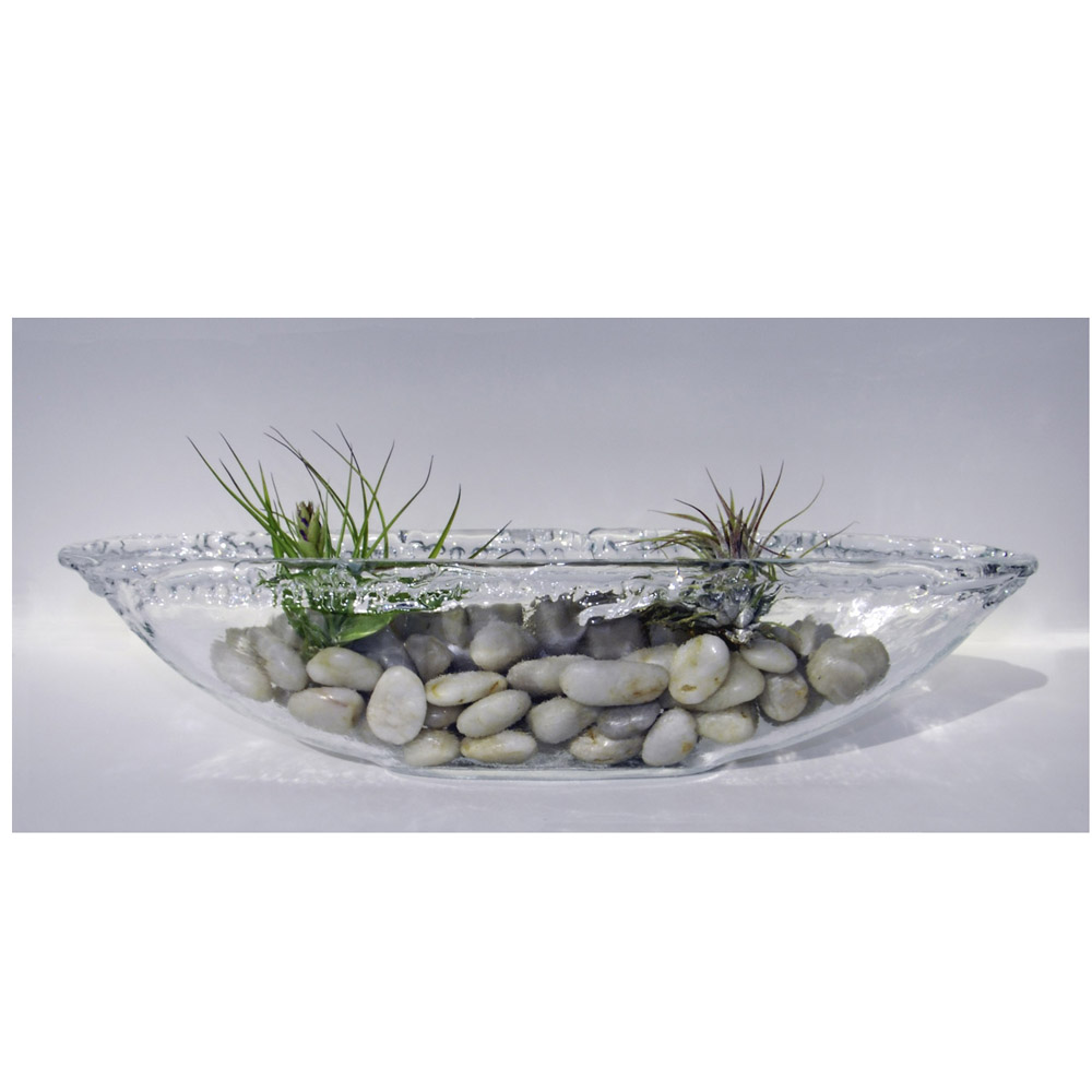 Mosser Lee White Polished Stone in glass vessel with air plants