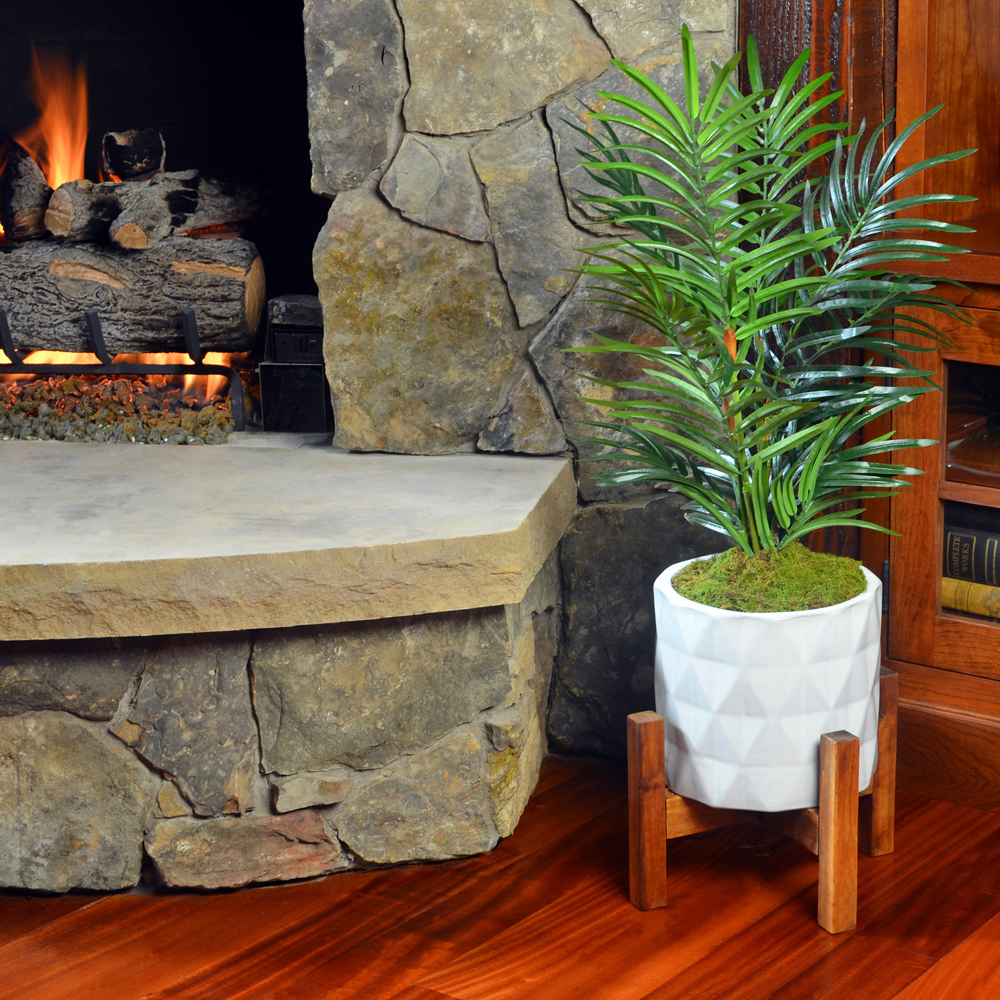 Sheet Moss in white planter next to fireplace