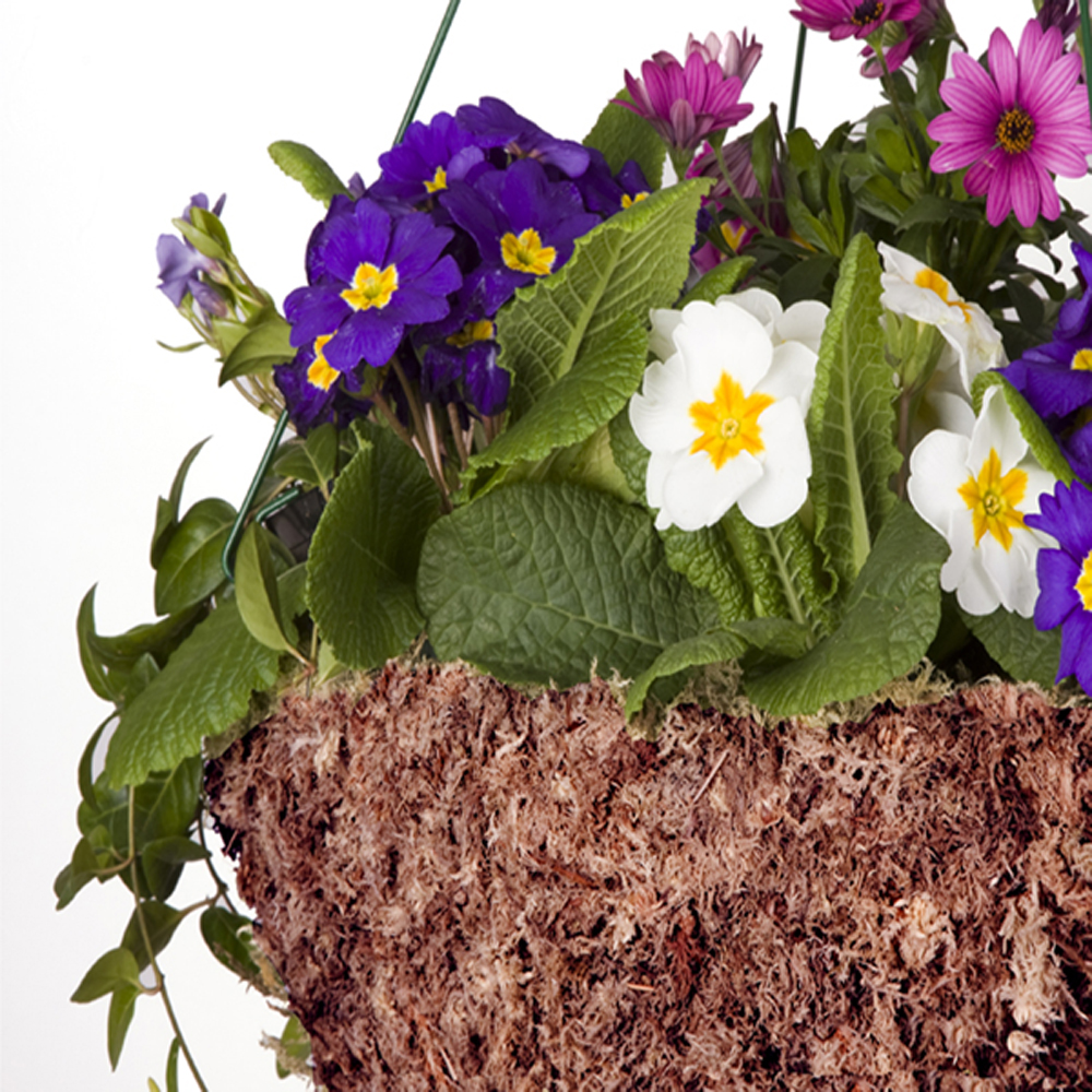 Sphagnum Moss filled hanging basket filled with purple, white and pink flowers