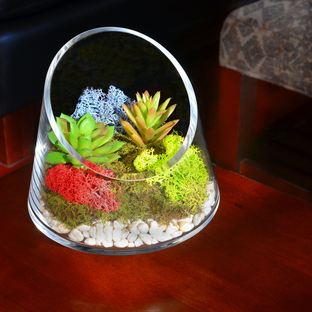 Succulant in glass terrarium with red, blue and green reindeer moss