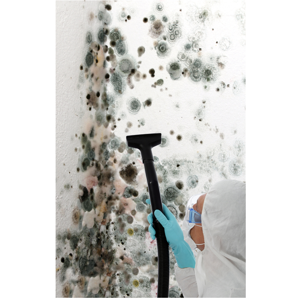 Person cleaning mold on wall with vacuum