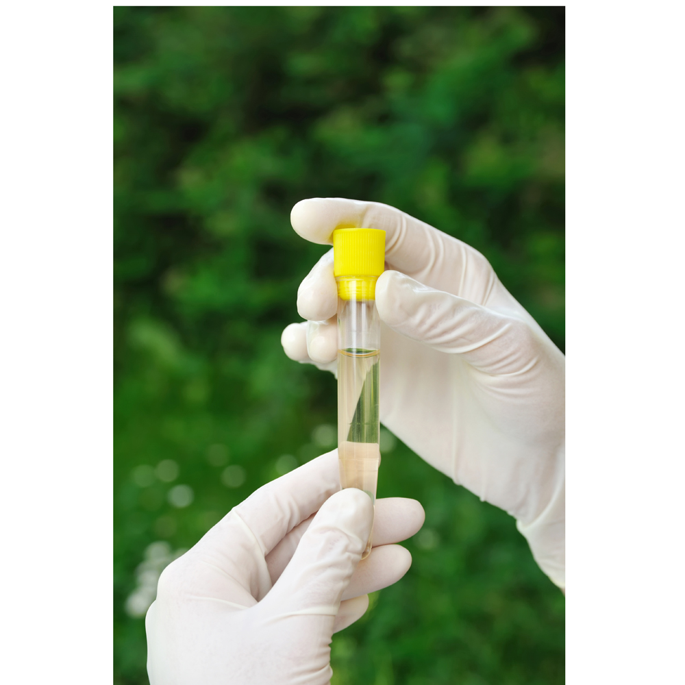 Person wearing rubber gloves holding test tube