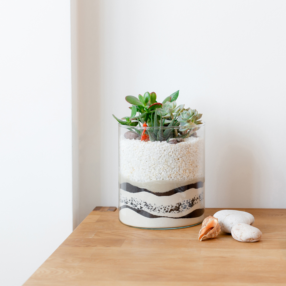 Decorative Sand for Plants & Crafts Quality Sand Mosser Lee