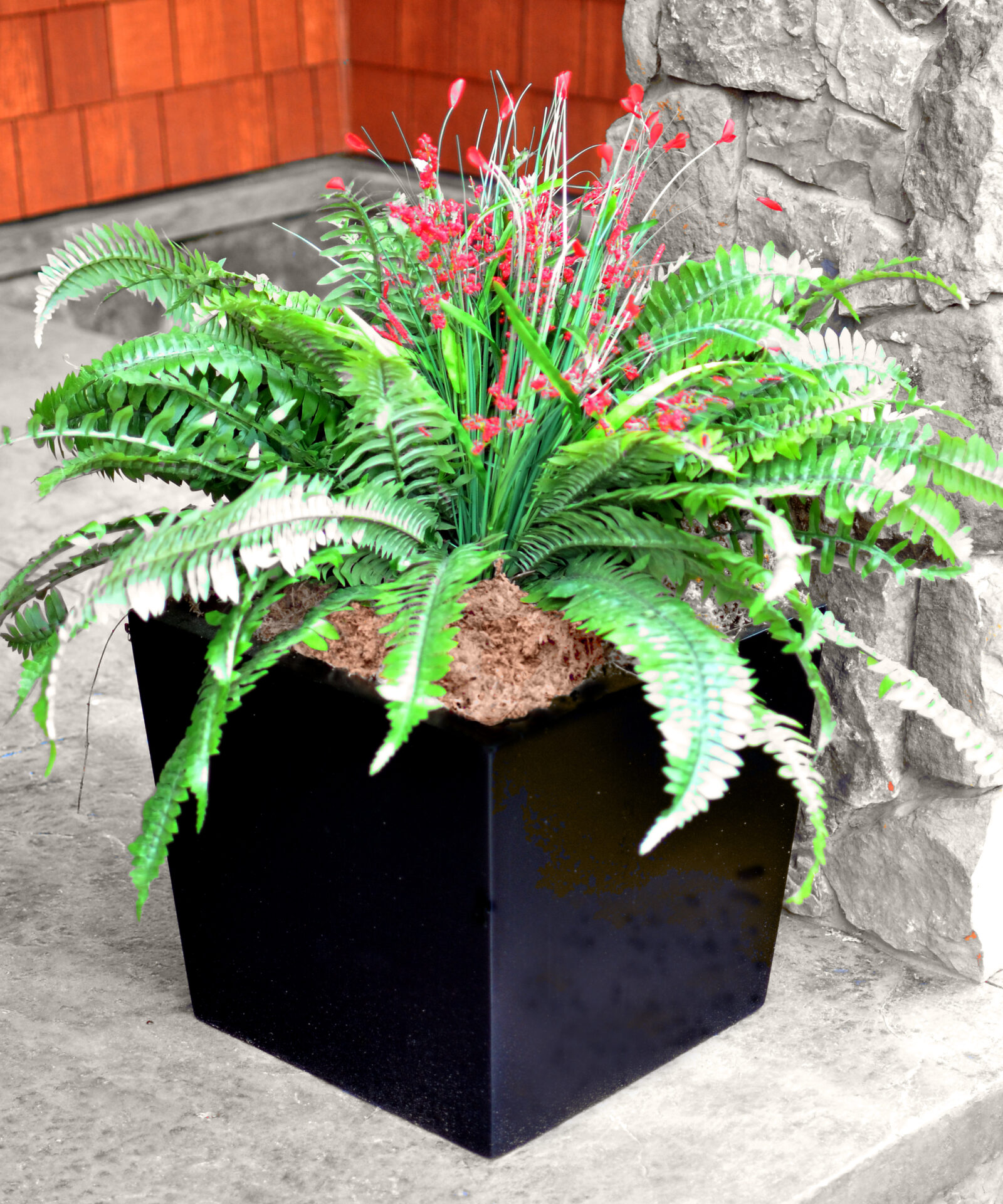 How to Use Moss in Container Gardening Mosser Lee